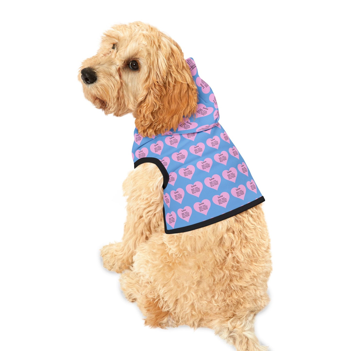 Charming Heart Pet Hoodie Pattern (Light blue)