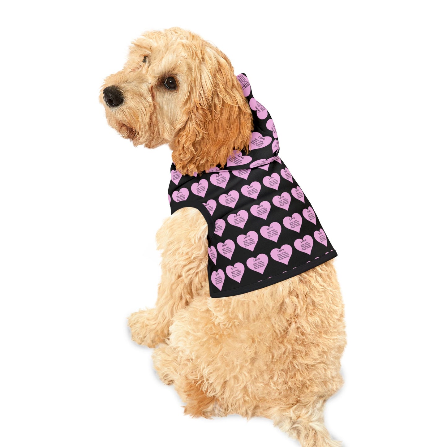 Charming Heart Pet Hoodie Pattern (Black)