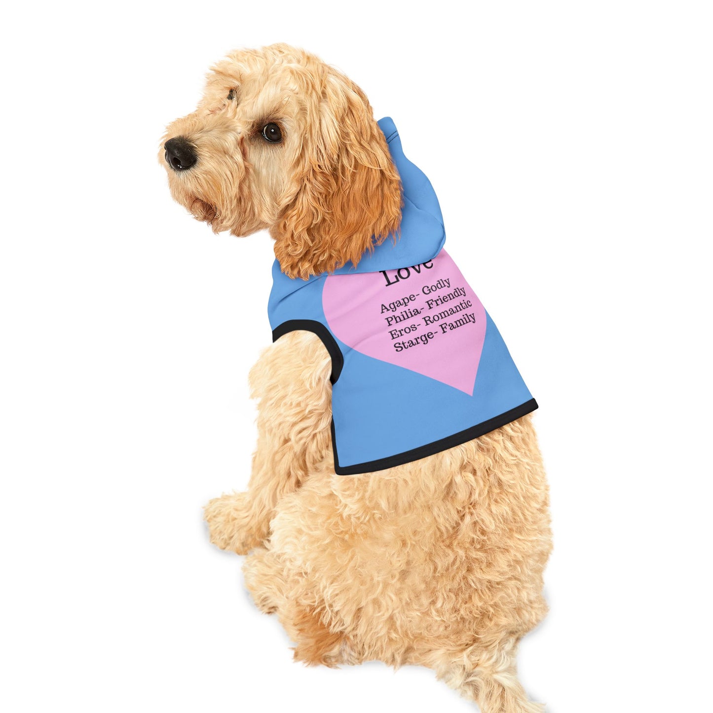 Charming Heart Pet Hoodie (Light blue)