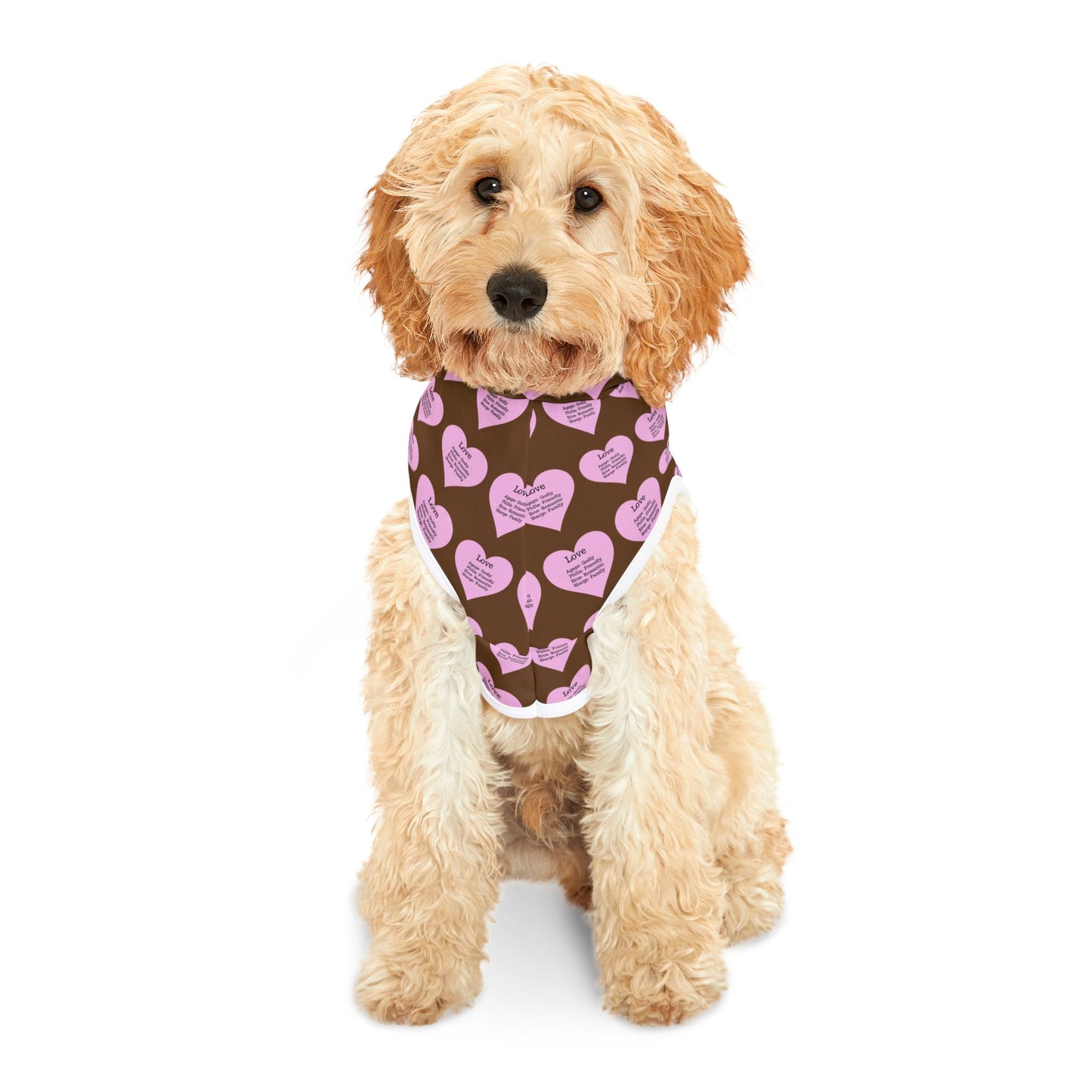 Charming Heart Pet Hoodie Pattern (Brown)