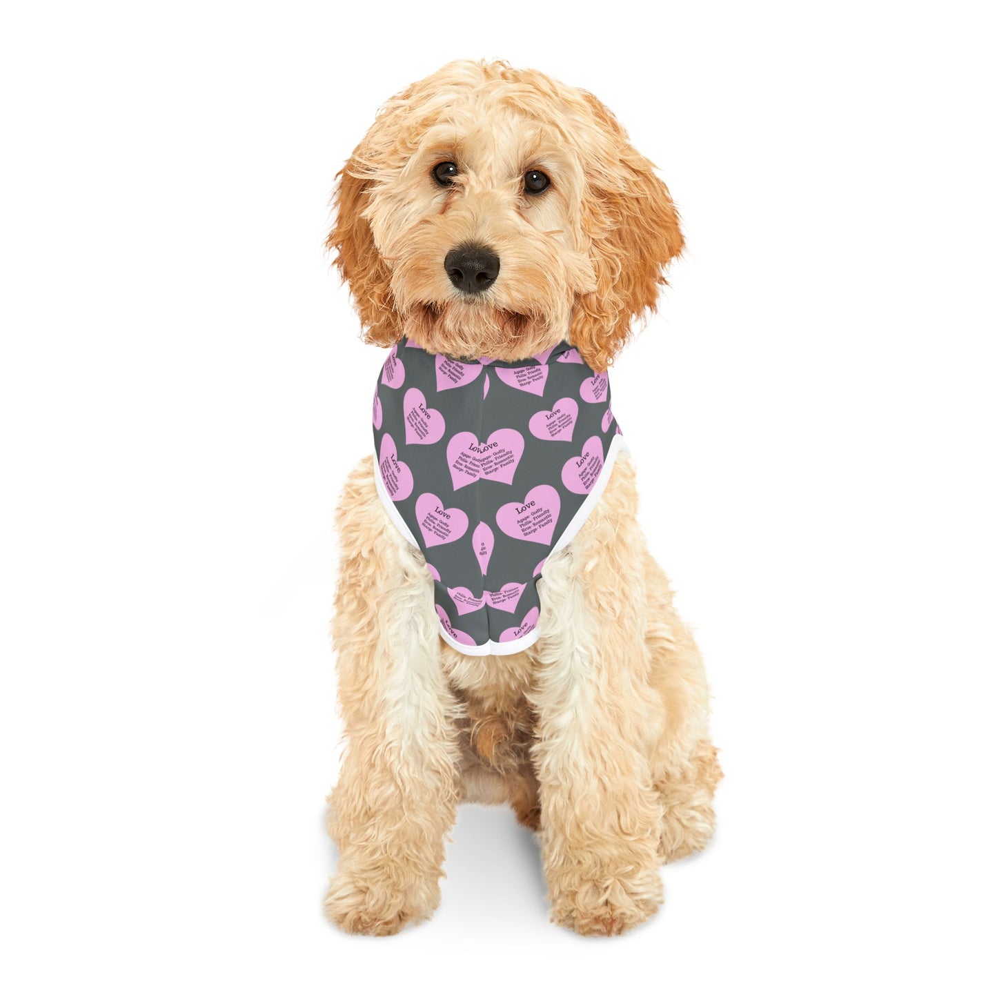 Charming Heart Pet Hoodie Pattern (Dark grey)