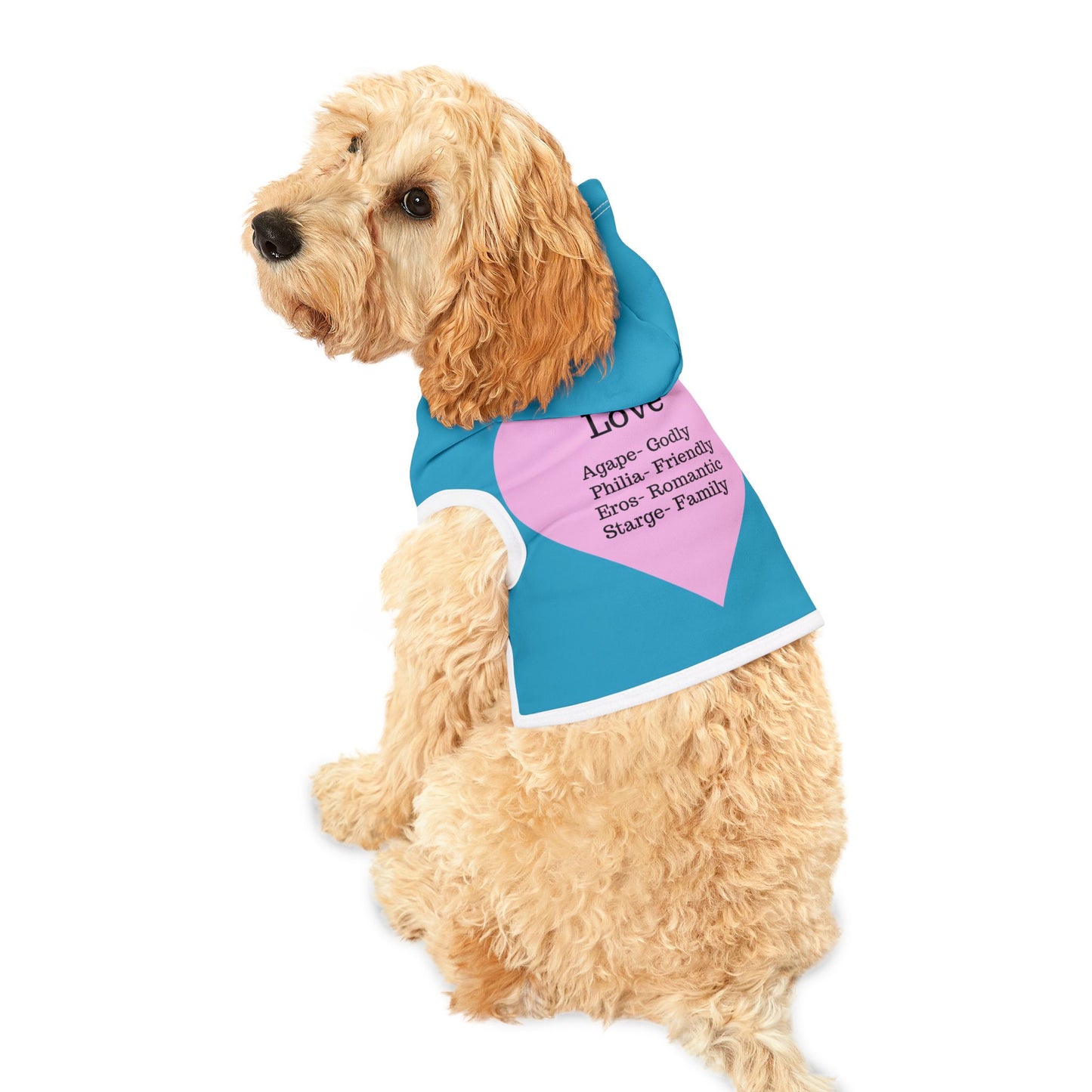 Charming Heart Pet Hoodie (Turquoise)