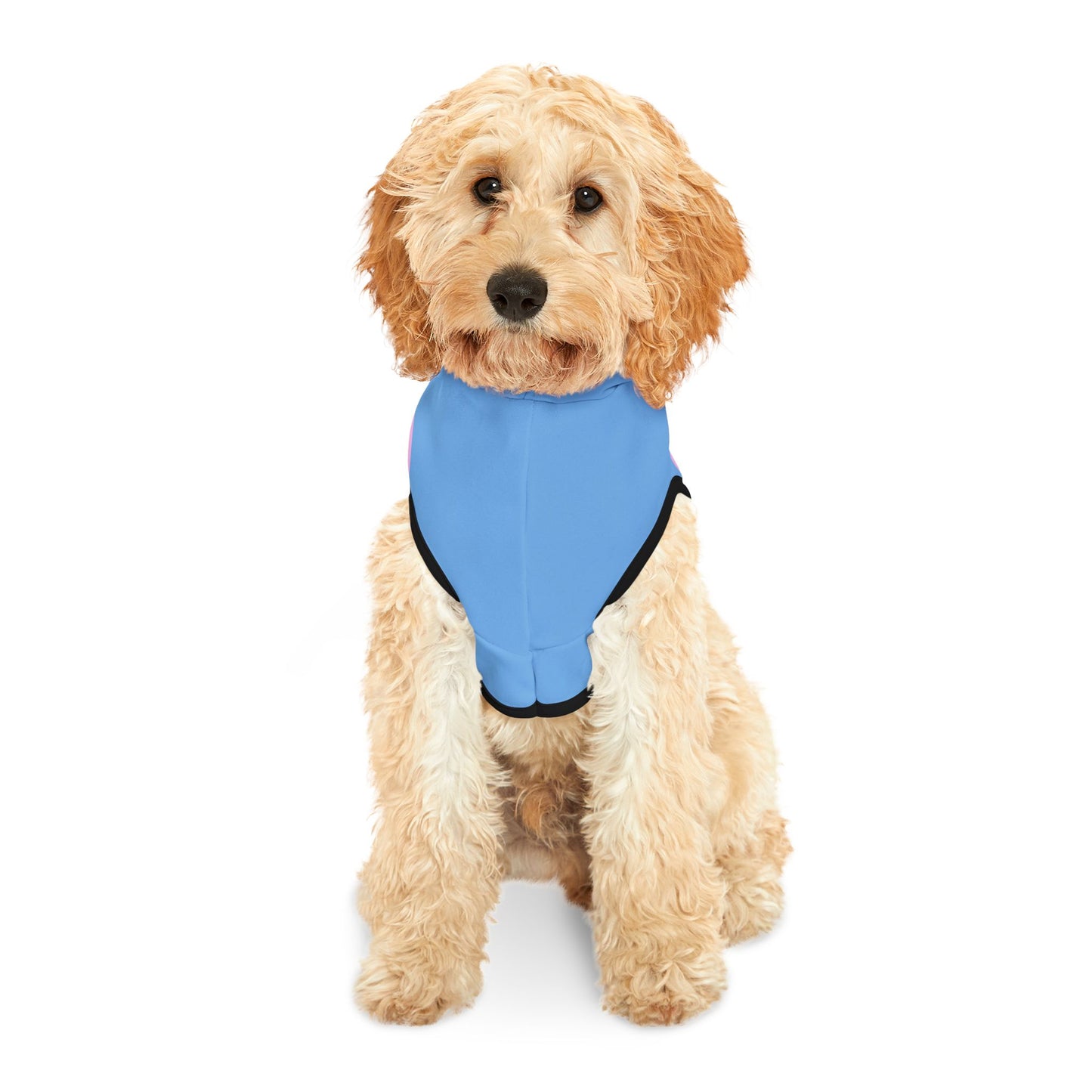 Charming Heart Pet Hoodie (Light blue)