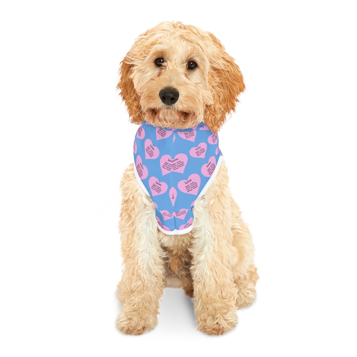 Charming Heart Pet Hoodie Pattern (Light blue)