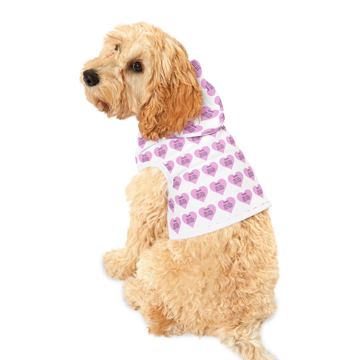 Charming Heart Pet Hoodie Pattern (White)