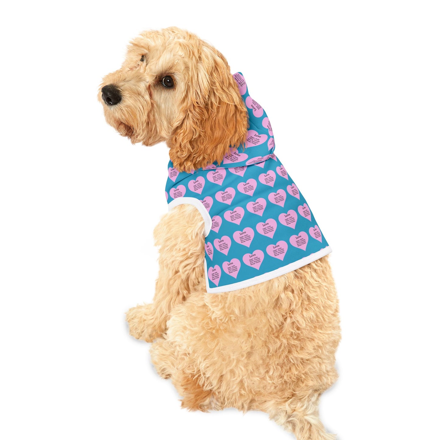 Charming Heart Pet Hoodie Pattern (Turquoise)