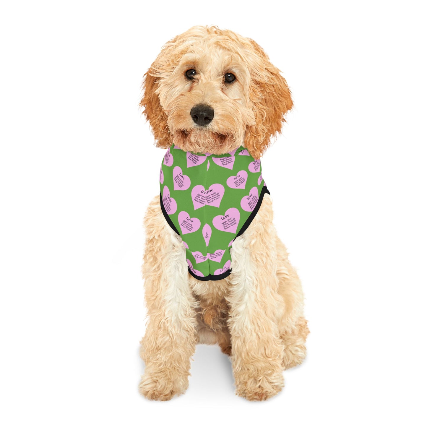 Charming Heart Pet Hoodie Pattern (Green)