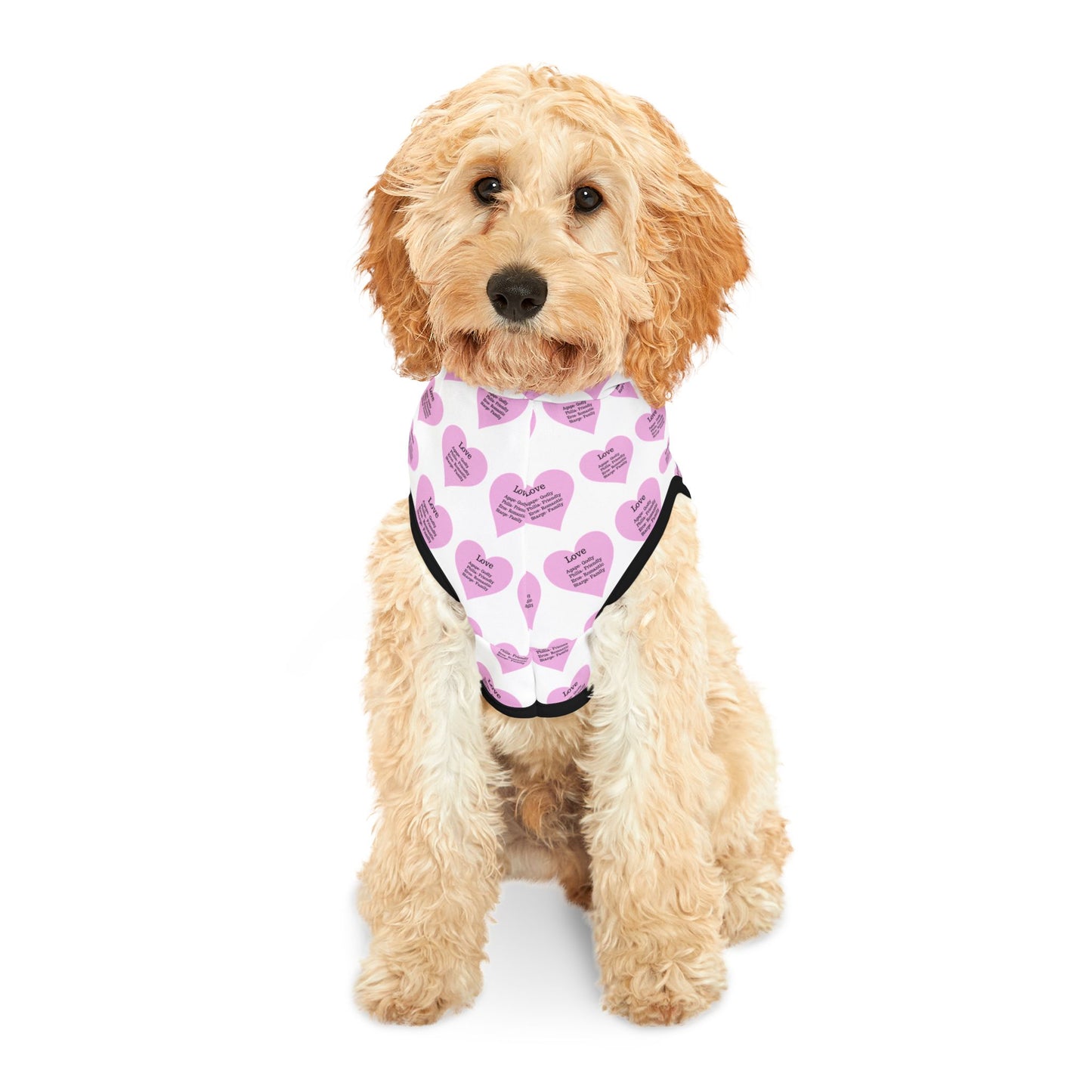 Charming Heart Pet Hoodie Pattern (White)