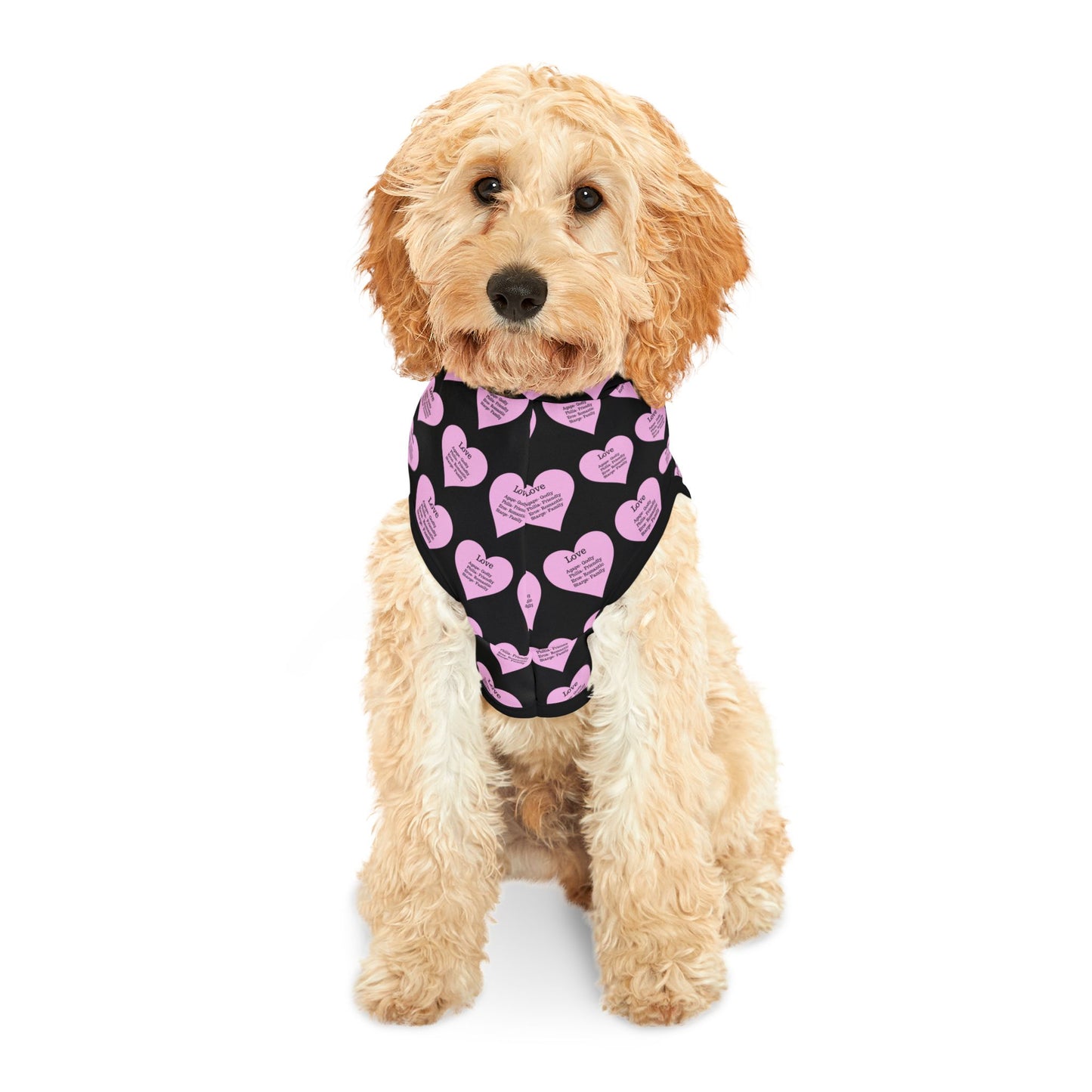 Charming Heart Pet Hoodie Pattern (Black)