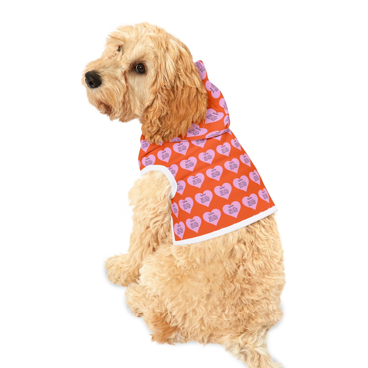 Charming Heart Pet Hoodie Pattern (Orange)