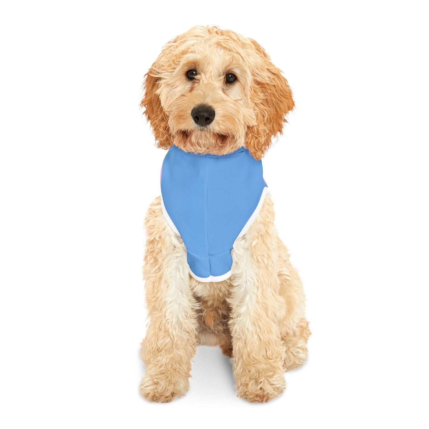 Charming Heart Pet Hoodie (Light blue)