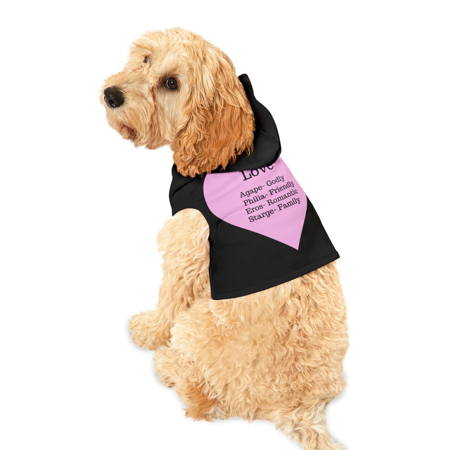 Charming Heart Pet Hoodie (Black)