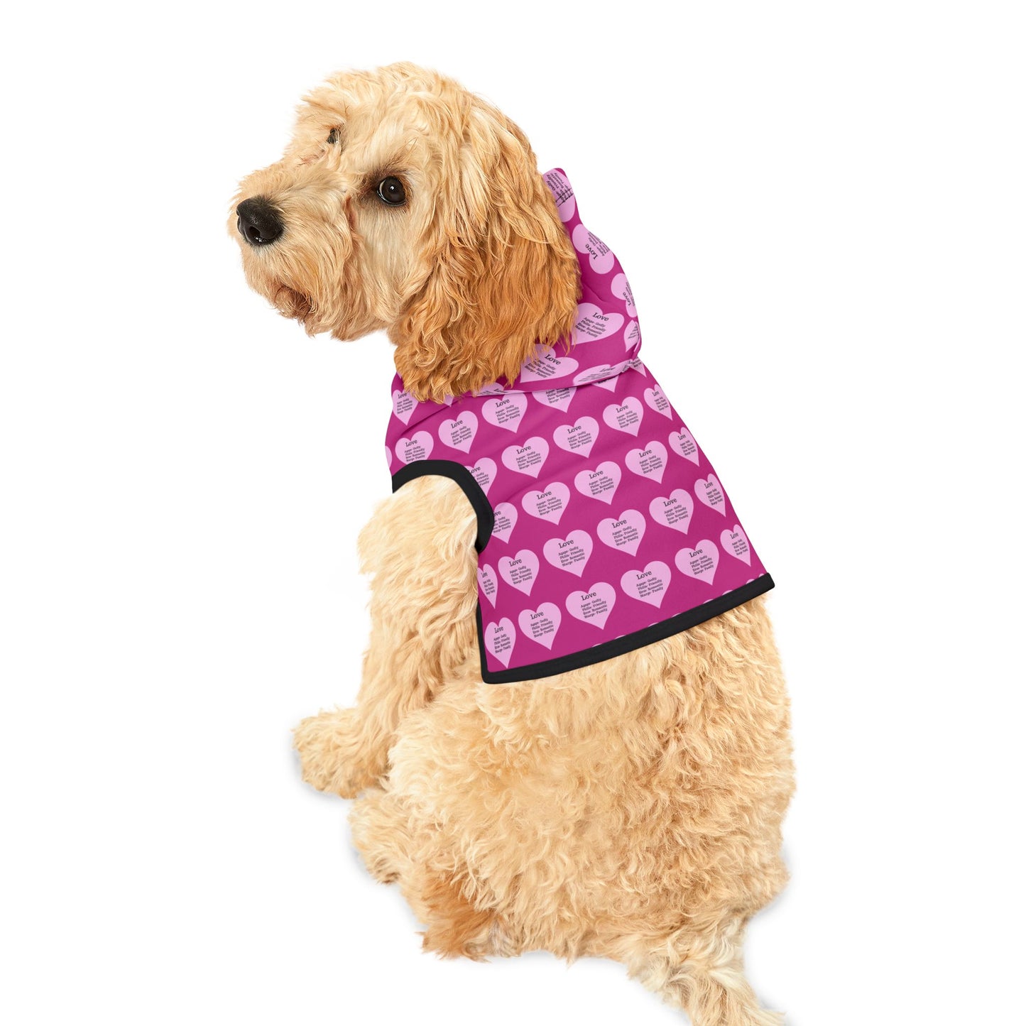 Charming Heart Pet Hoodie Pattern (Pink)