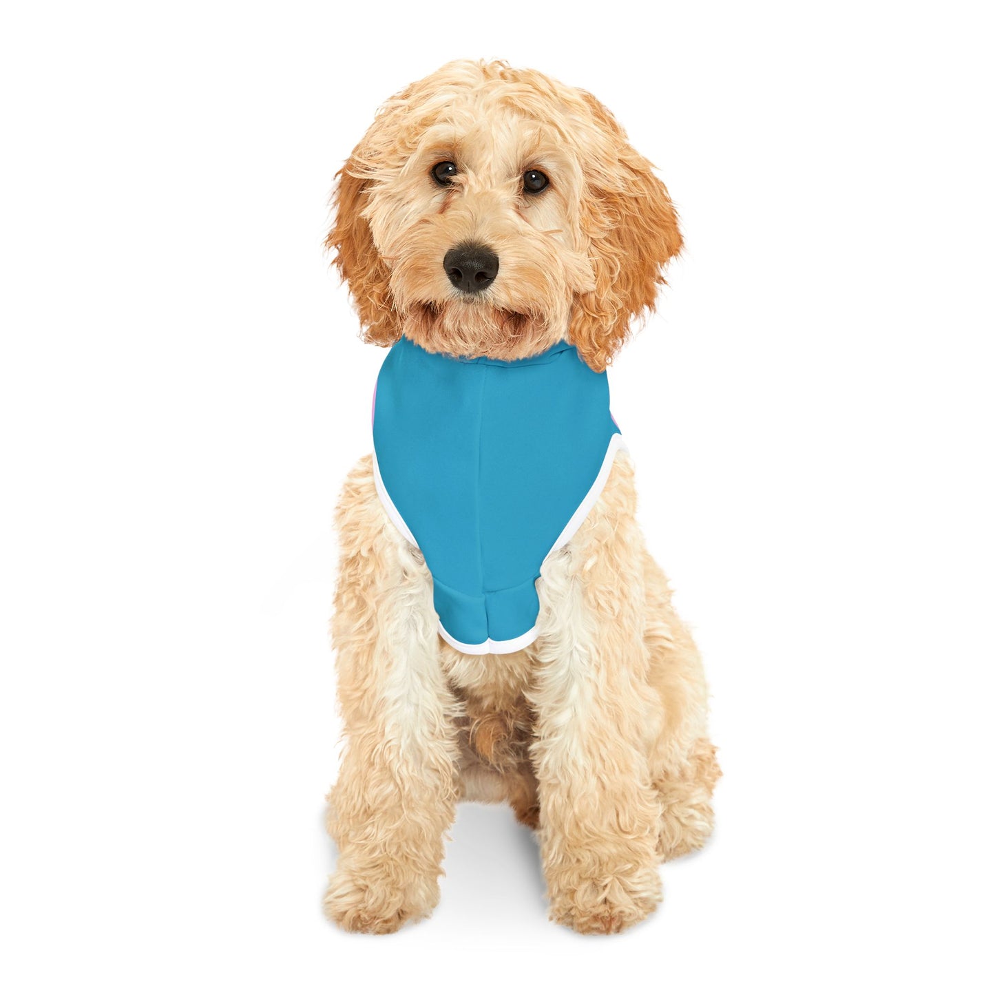 Charming Heart Pet Hoodie (Turquoise)