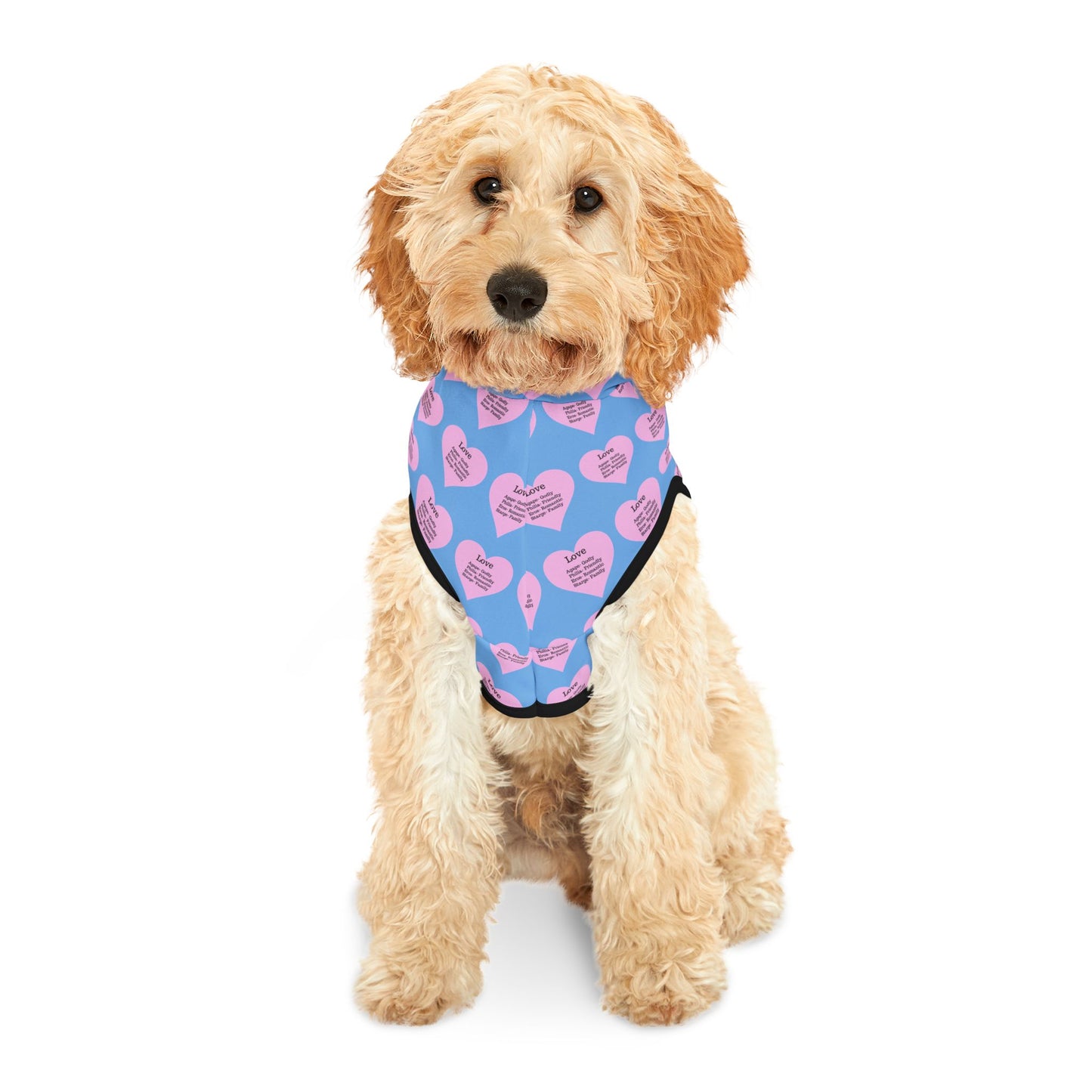 Charming Heart Pet Hoodie Pattern (Light blue)