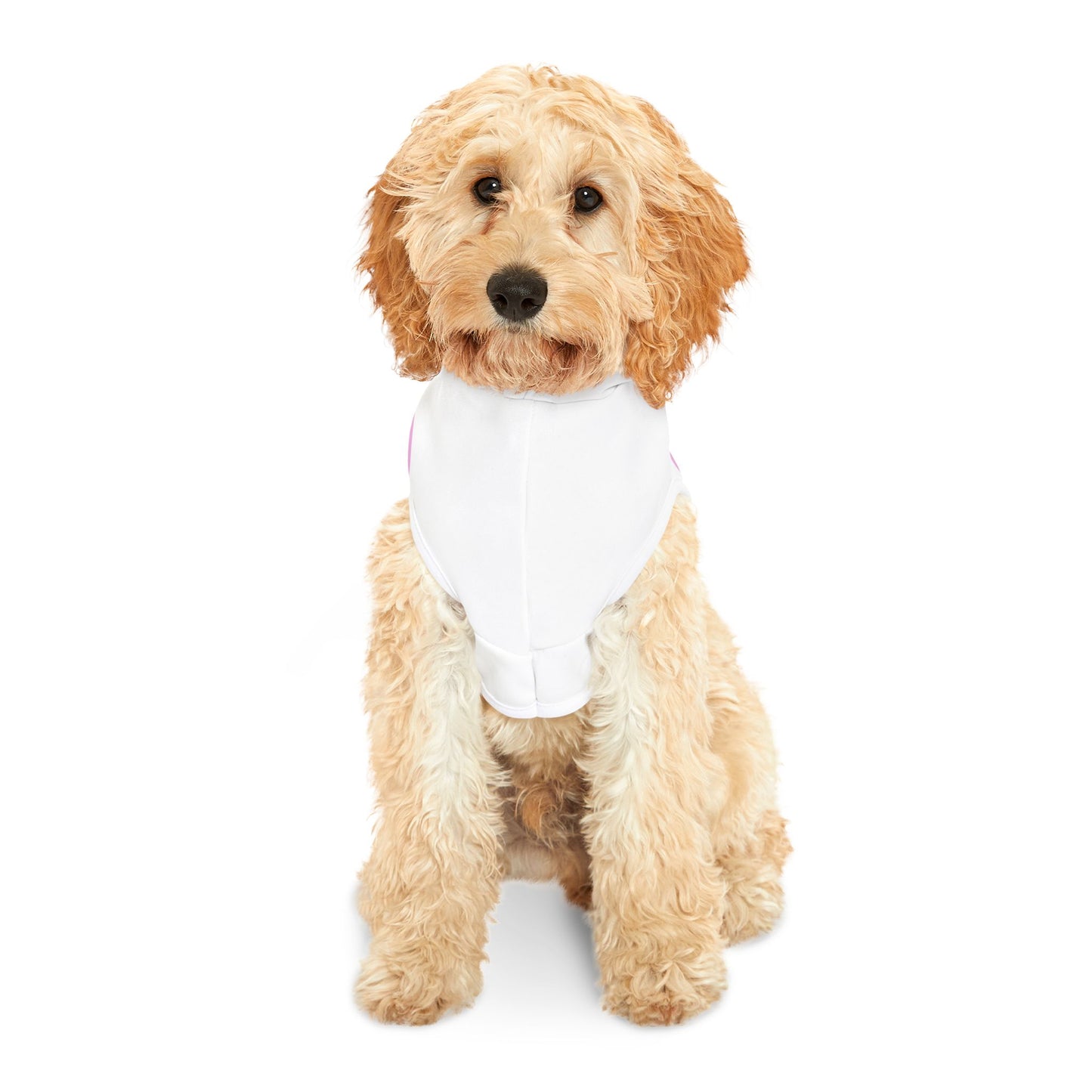 Charming Heart Pet Hoodie (White)