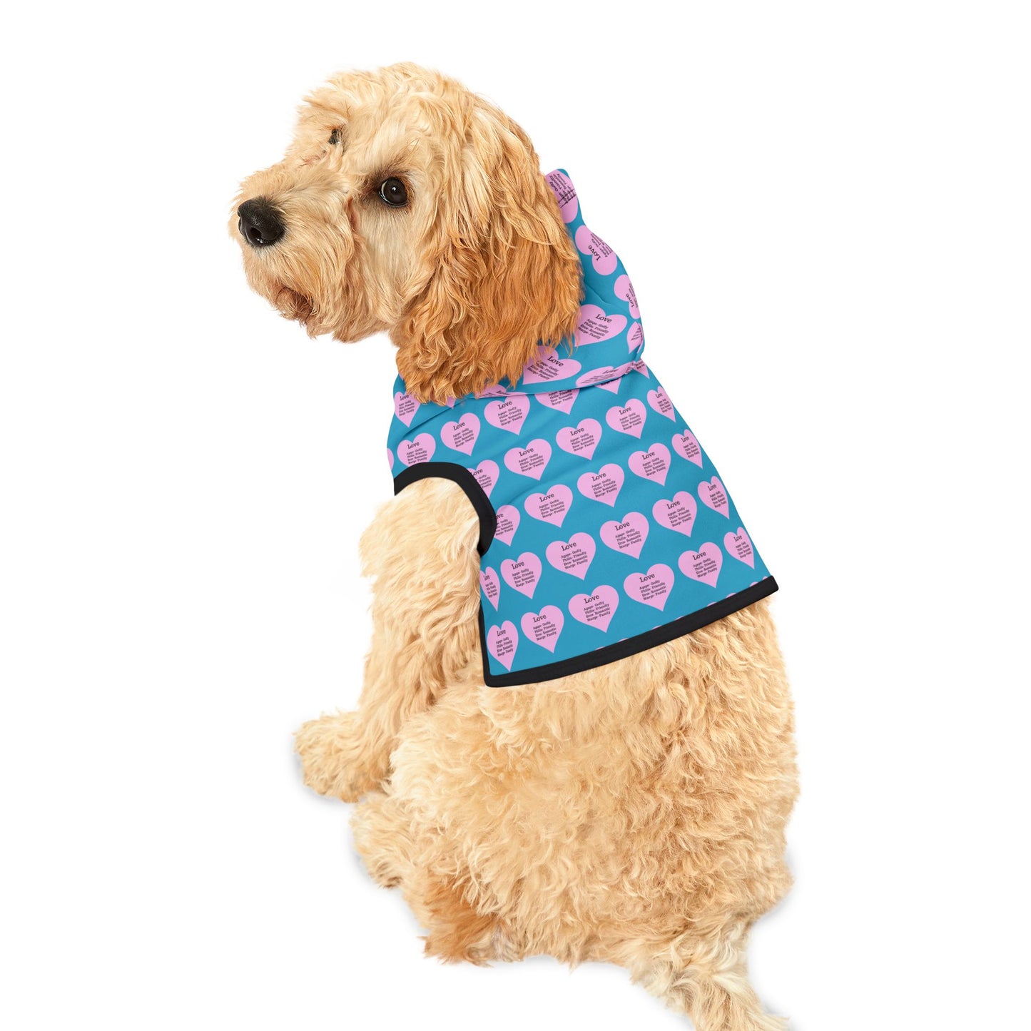 Charming Heart Pet Hoodie Pattern (Turquoise)