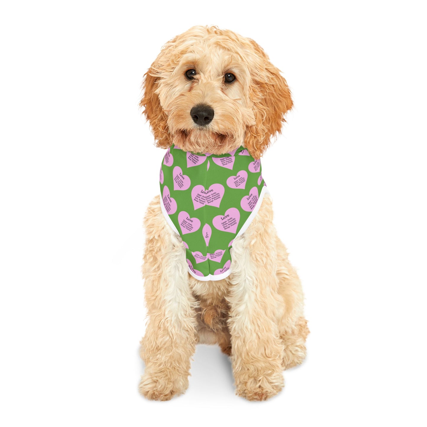 Charming Heart Pet Hoodie Pattern (Green)