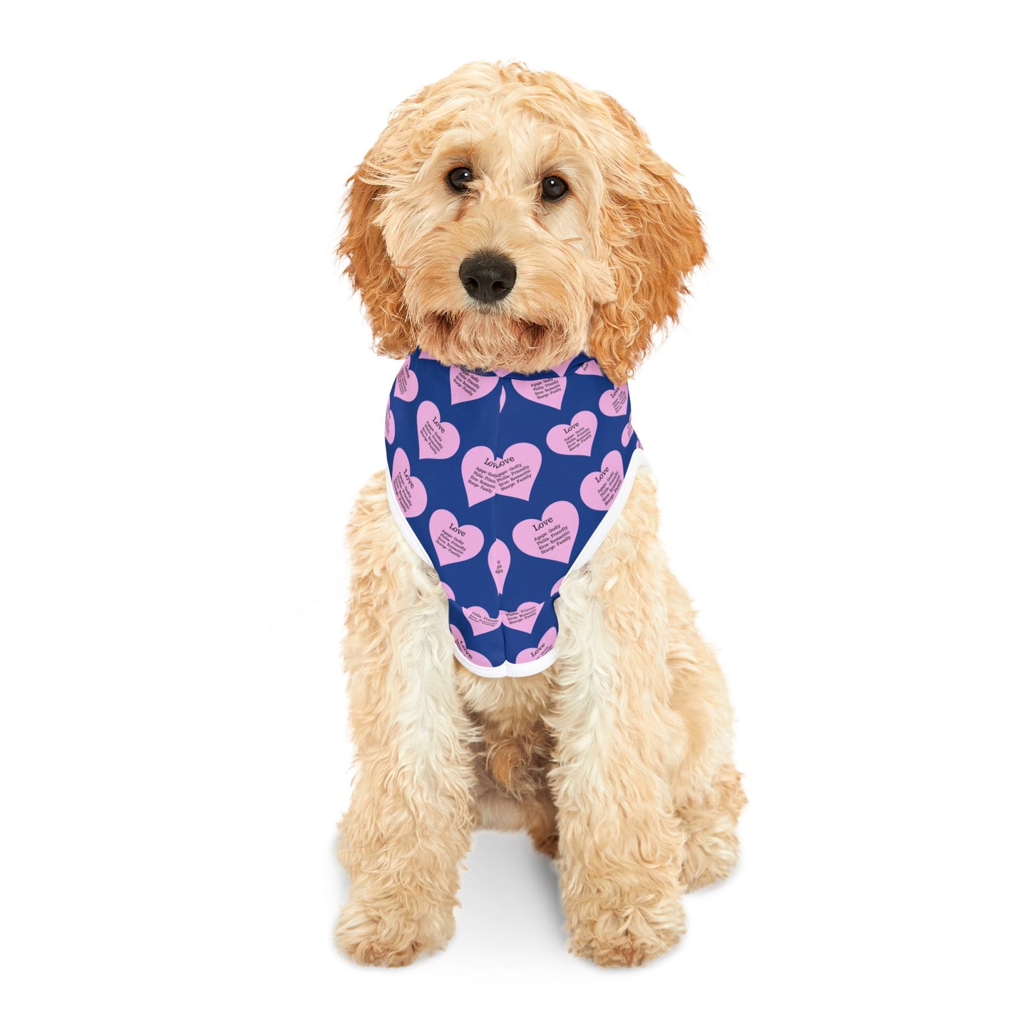 Charming Heart Pet Hoodie Pattern (Dark blue)