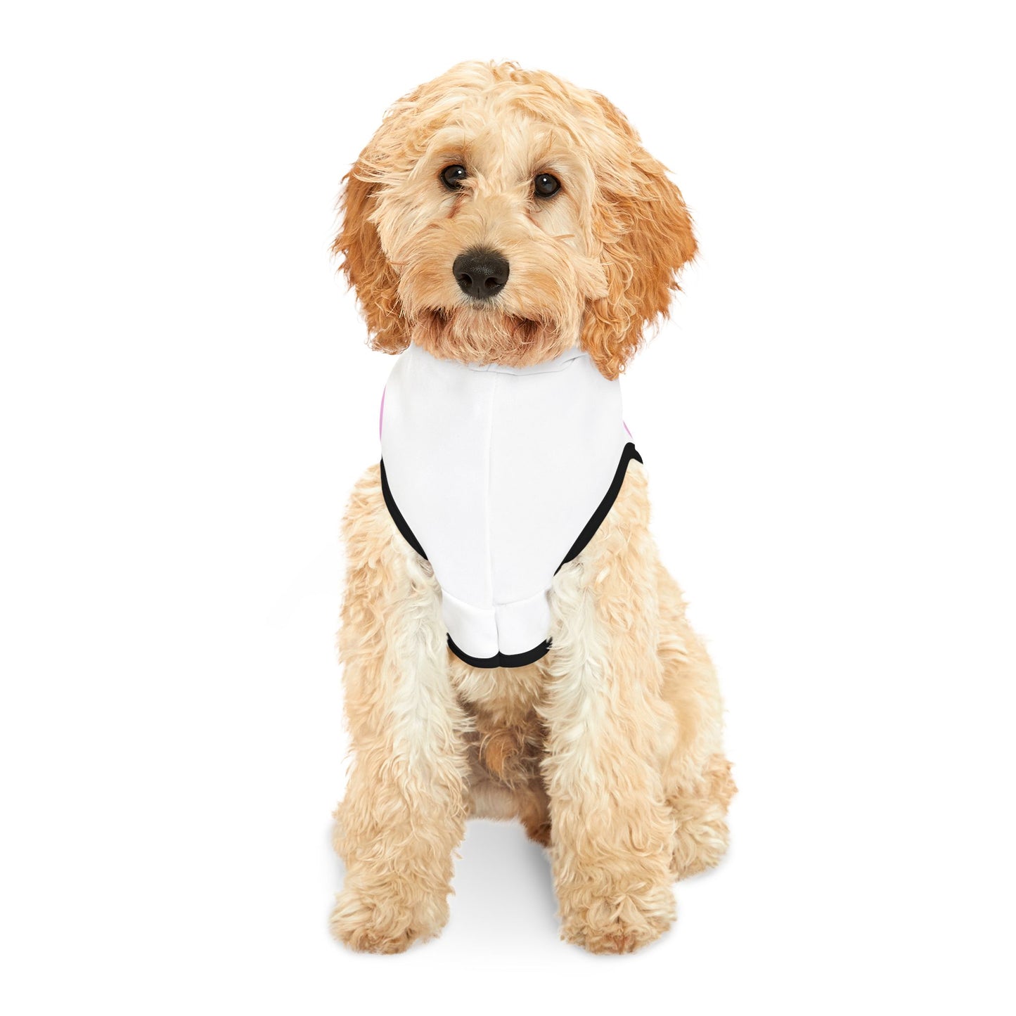 Charming Heart Pet Hoodie (White)