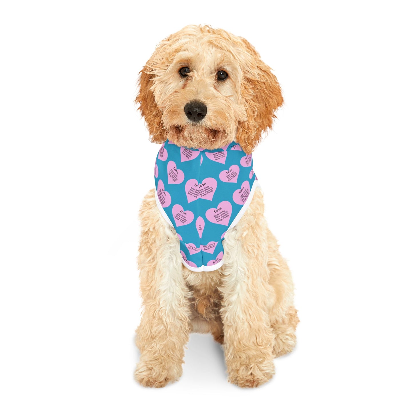Charming Heart Pet Hoodie Pattern (Turquoise)