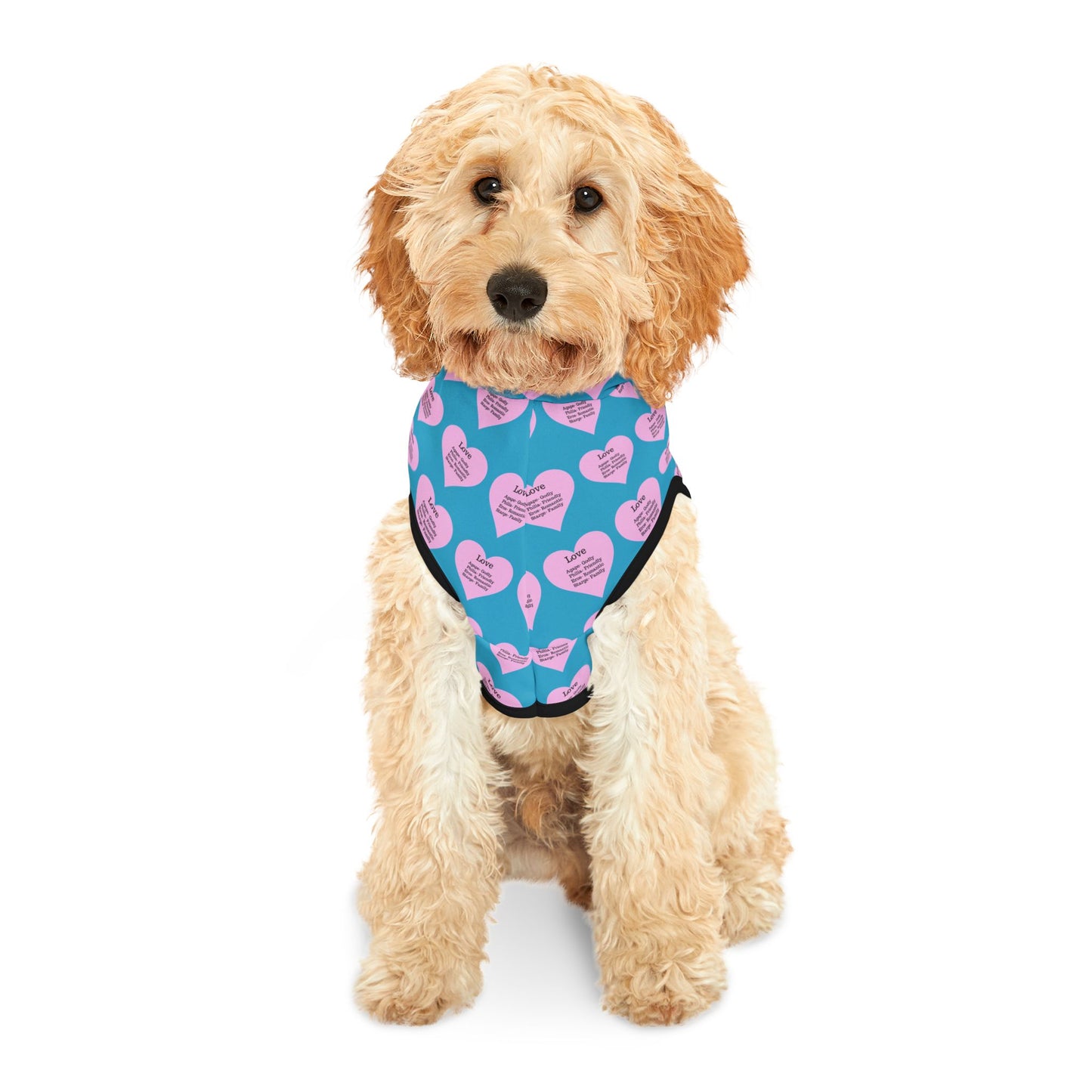 Charming Heart Pet Hoodie Pattern (Turquoise)