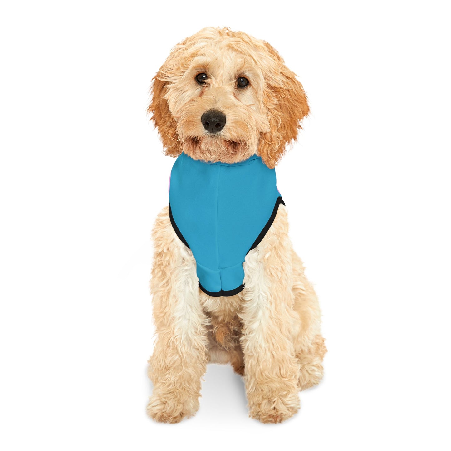 Charming Heart Pet Hoodie (Turquoise)