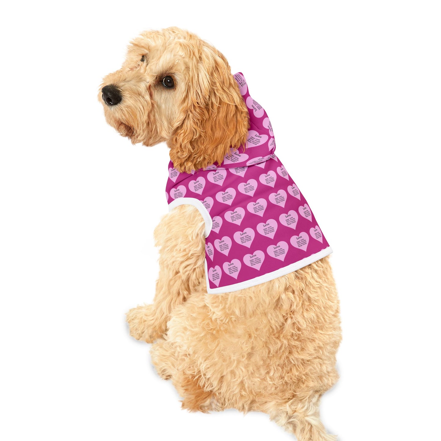 Charming Heart Pet Hoodie Pattern (Pink)