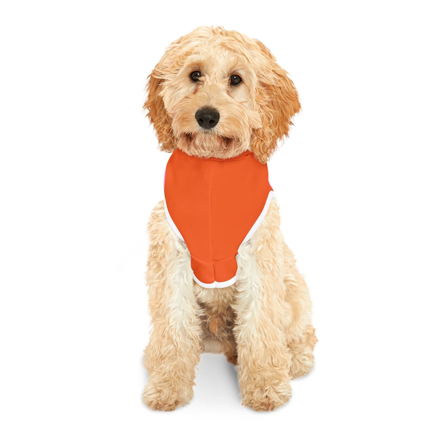Charming Heart Pet Hoodie (Orange)