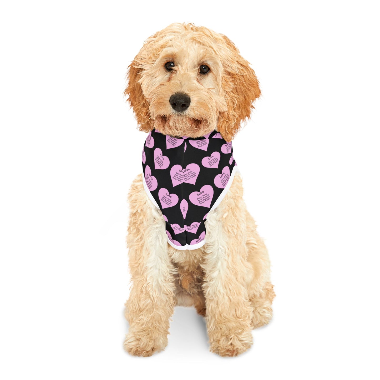 Charming Heart Pet Hoodie Pattern (Black)