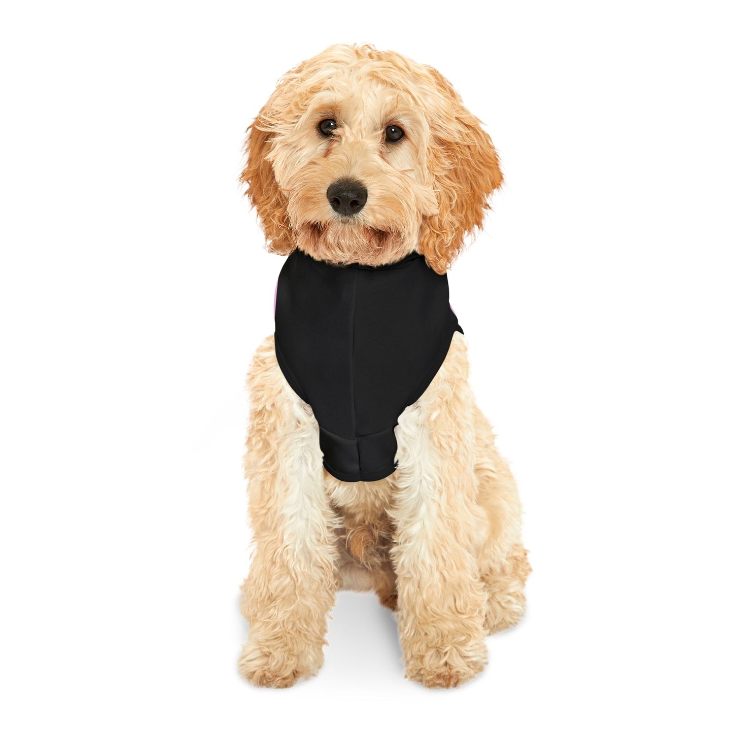 Charming Heart Pet Hoodie (Black)