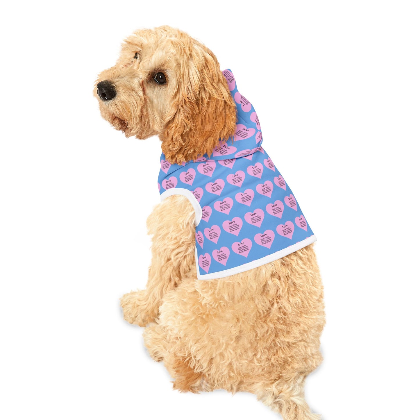 Charming Heart Pet Hoodie Pattern (Light blue)