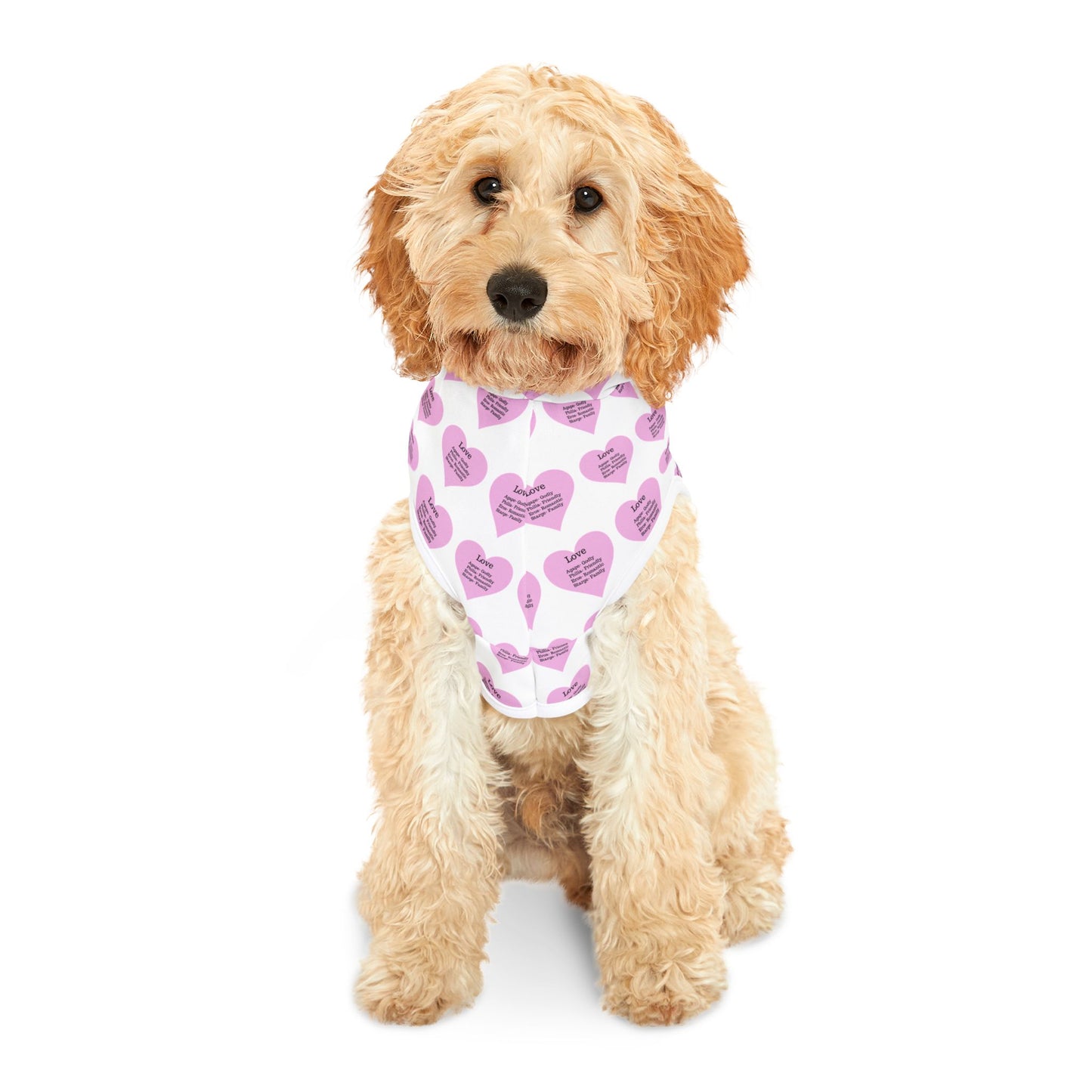 Charming Heart Pet Hoodie Pattern (White)