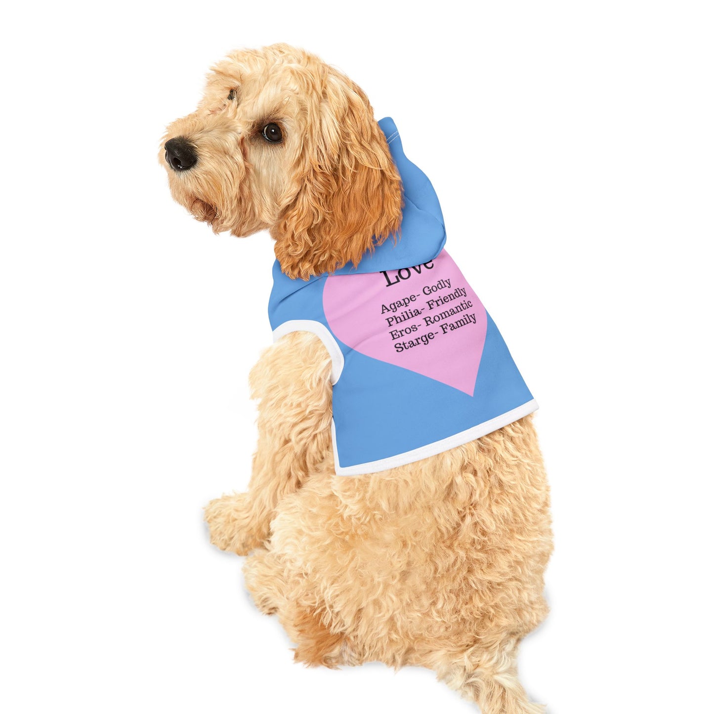 Charming Heart Pet Hoodie (Light blue)